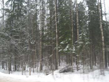 S_Pb_2009 (31)
